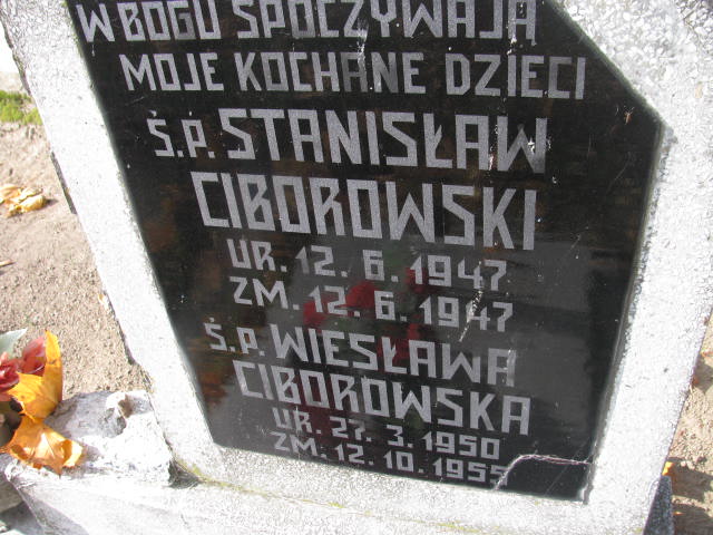 Wiesława Ciborowska 1950 Biskupiec - Grobonet - Wyszukiwarka osób pochowanych
